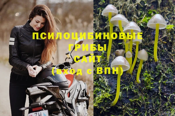 мяу мяу мука Беломорск