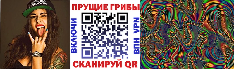 Псилоцибиновые грибы Psilocybine cubensis  Купить закладки  Лыткарино 